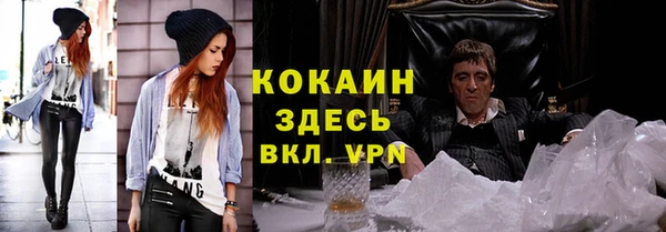 гашик Верея
