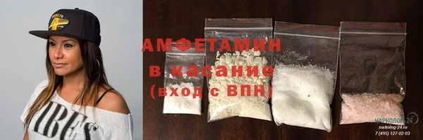 гашик Верея