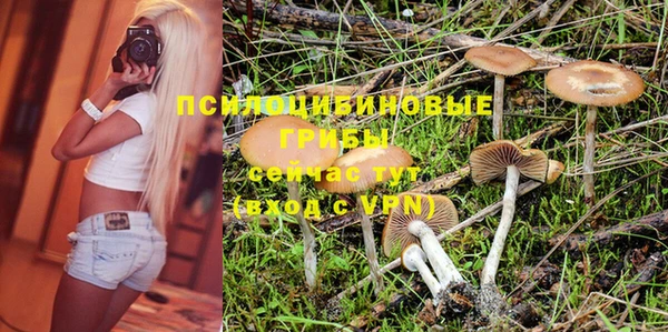 герыч Бородино