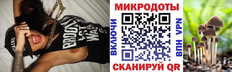 Псилоцибиновые грибы Psilocybe  Купить  Жирновск 